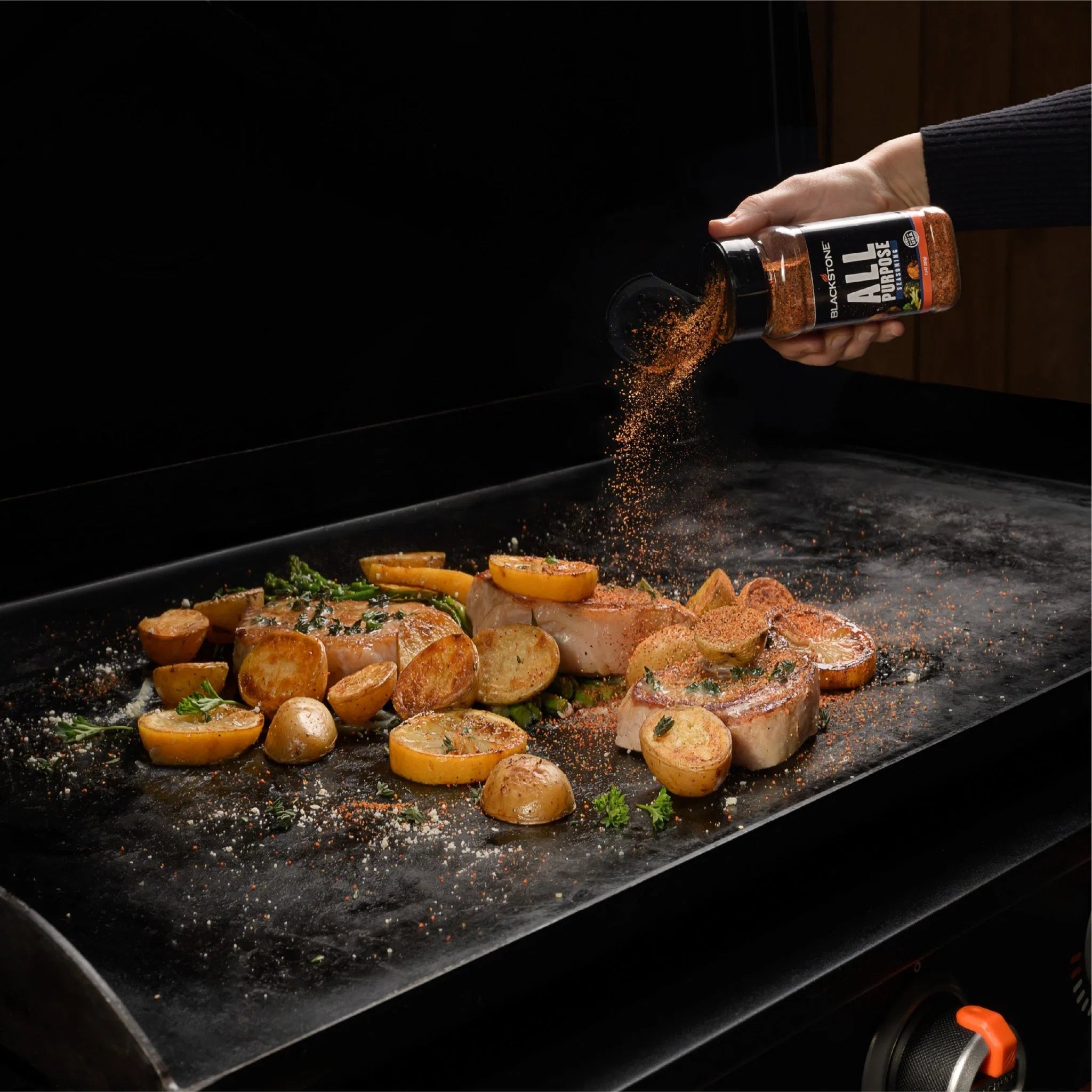 All Purpose Seasoning